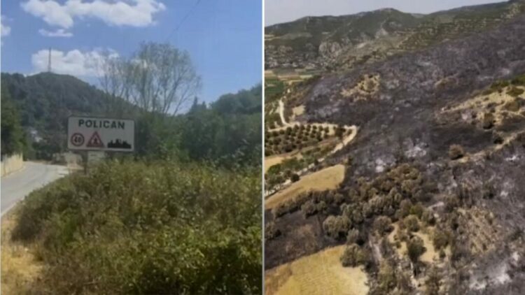 Situatë kritike në Plashnik, digjet Parku Kombëtar i Ballollit! Evakuohen 18 familje