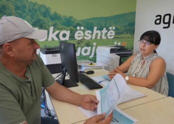 Skema Kombëtare e Investimeve, Rama: Paketa përfshin kredi të buta dhe 50% grante!