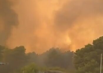 Vijon zjarri në pyllin e Poros në Vlorë për të dytën ditë radhazi