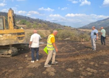 Gramsh/ Frikë për përhapjen e sëmundjeve, nis groposja e kafshëve të djegura