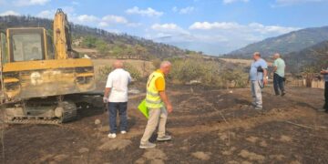 Gramsh/ Frikë për përhapjen e sëmundjeve, nis groposja e kafshëve të djegura