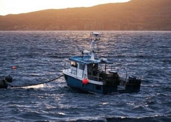 Erë e fortë dhe dallgë, pezullohet lundrimi për mjetet e vogla detare në Vlorë