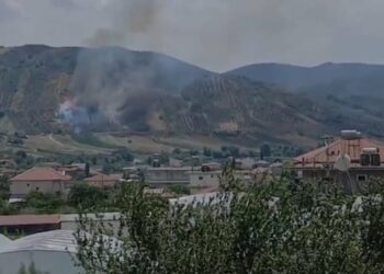 Vatër zjarri në Peqin, era e fortë dhe temperaturat e larta ndihmojnë përhapjen