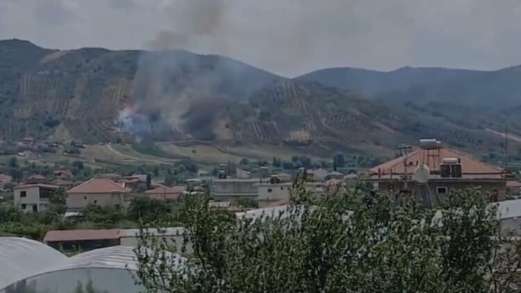 Vatër zjarri në Peqin, era e fortë dhe temperaturat e larta ndihmojnë përhapjen