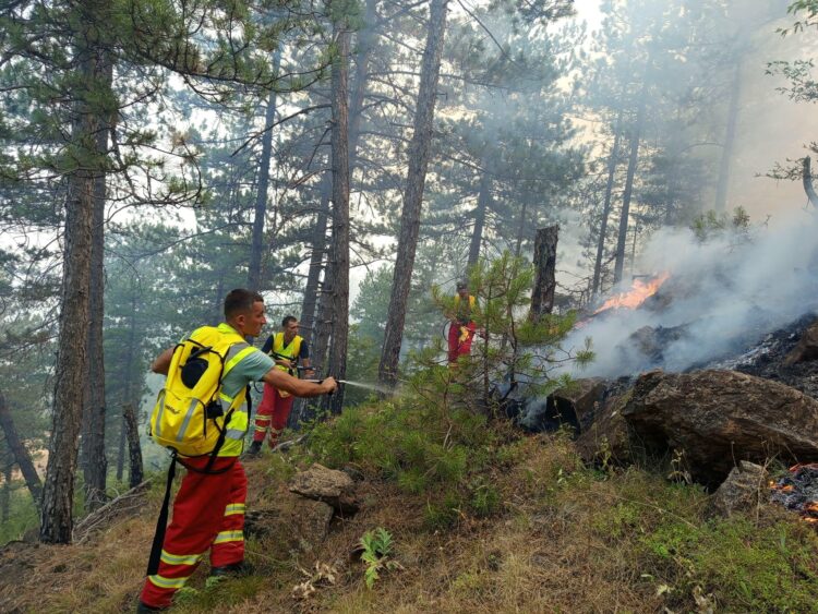Dy fronte të rrezikshme zjarri/ MM: Të evakuohen banorët e 3 fshatrave në Gramsh
