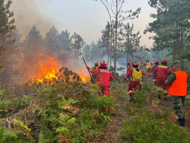 Situata e zjarreve në vend, MM: 23 vatra aktive zjarri, ja zonat më problematike