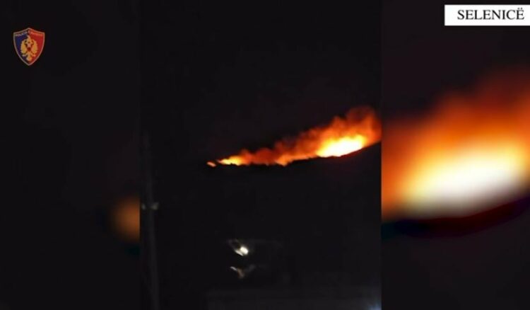 U konfliktua me fqinjin dhe i vuri flakën tokës me ullinj, arrestohet 43-vjeçari