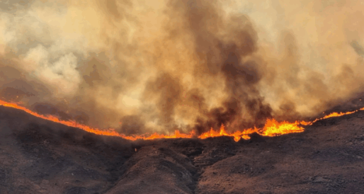 Situatë e vështirë nga zjarret në Spanjë/ Shkrumbohen 100 mijë hektarë në Greqi