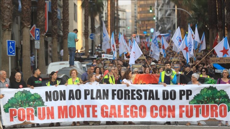 Protesta në Spanjë kundër menaxhimit të zjarreve