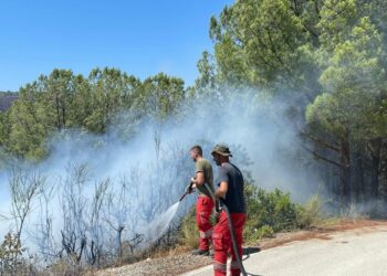 Selenicë/ Vatër zjarri në Lapardha, flakët u afrohen banesave