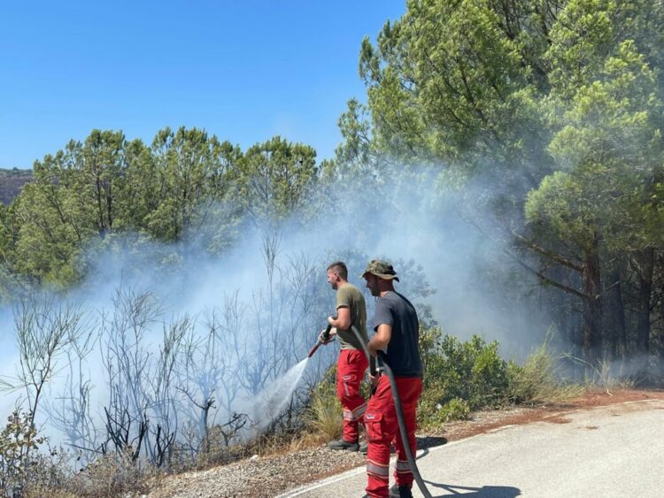Selenicë/ Vatër zjarri në Lapardha, flakët u afrohen banesave