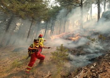 Situata e zjarreve në vend/MM: Gjatë orëve të fundit 37 vatra aktive