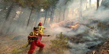 Situata e zjarreve në vend/MM: Gjatë orëve të fundit 37 vatra aktive