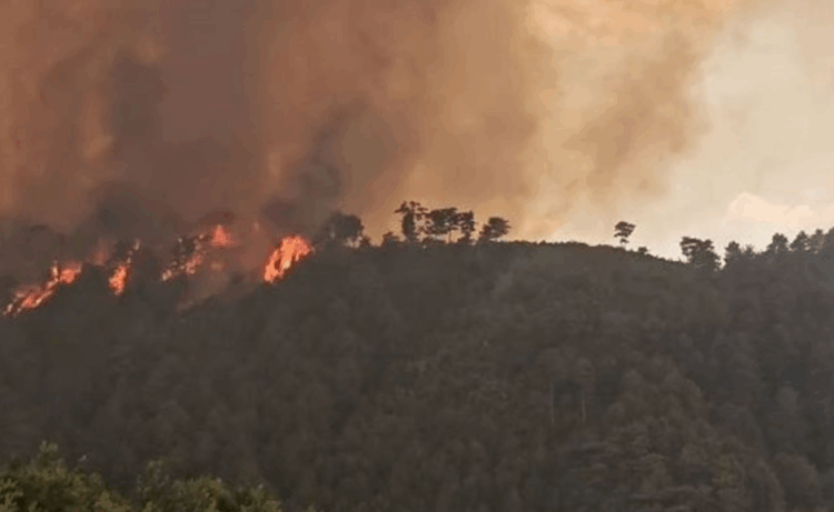 Situata kritike me zjarret në Gramsh, humb jetën një person në fshatin Kullollas