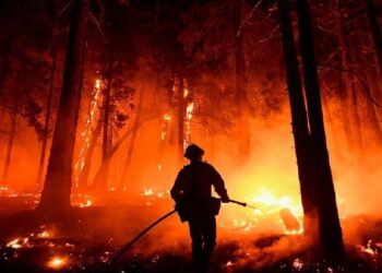 OKB: Njeriu, shkaktari kryesor i zjarreve pyjore