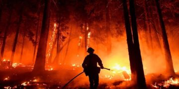 OKB: Njeriu, shkaktari kryesor i zjarreve pyjore