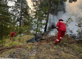 Situata e zjarreve në vend, MM: Vihet nën kontroll zjarri në Bogovë të Skraparit