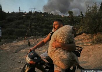 Shqiptari shpëton delen nga zjarri, fotoja mes 12 më të mirave në botë