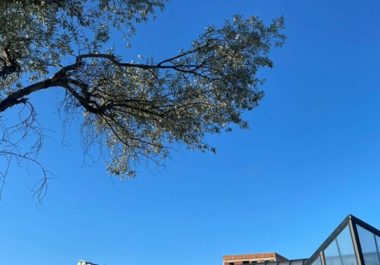 Rriten temeperaturat, si do të jetë moti sot