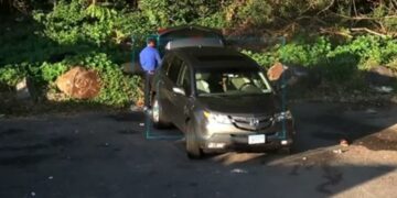 Shqiptari kapet duke hedhur plehrat e biznesit në parkun e New York, arrestohet