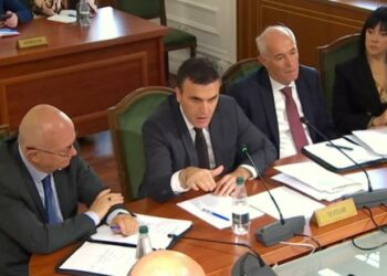 Kodit Penal/Çela: Po e patët me urgjencë, përktheni atë gjerman meqë na duhet në BE