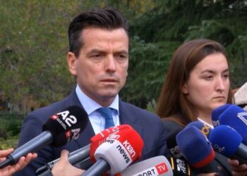 “Komisioni i Zgjedhores teatër”, Shehaj: Duan të vrasin partitë e reja