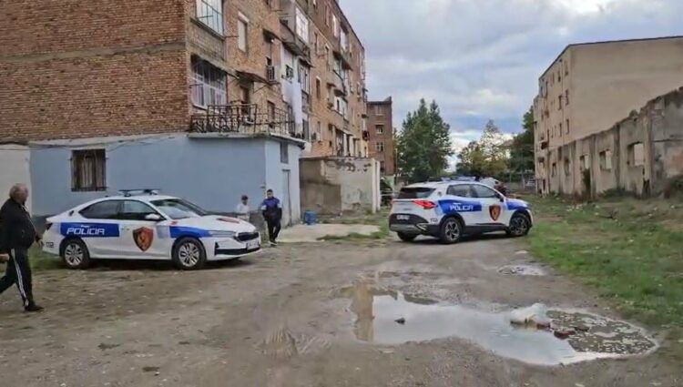 E mitura u hodh nga pallati, dëshmia e nënës: E bëri sepse e tallnin në lagje