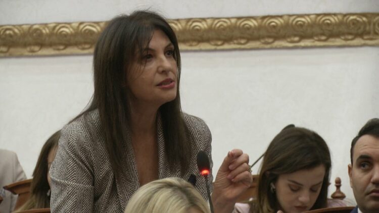 Vrasja e gjyqtarit, Topalli: Nëse nuk reflektojmë, ky vend do të shkojë në humnerë