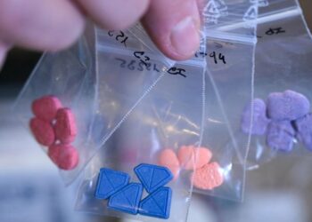 Gjermani/ Nivel i lartë kërcënimi nga krimi i organizuar