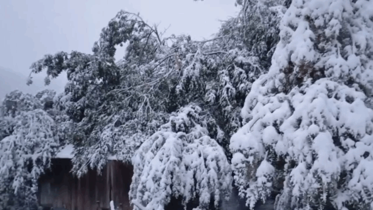 Të bllokuar nga dëbora në Bjeshkën e Javorrit, gjenden personat që kërkuan ndihmë