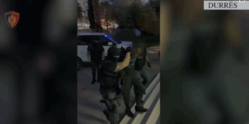 Pjesë e një organizate që trafikonte drogë, arrestohen në Manzë dy vëllezërit