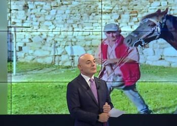 “E ndoqi fëmijën me gurë se po shihte kalin”, vrasësi i Beratit, person problematik