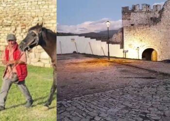 Fëmijët bënë foto me kalin dhe nuk paguan, 62-vjeçari u vret babanë në Berat