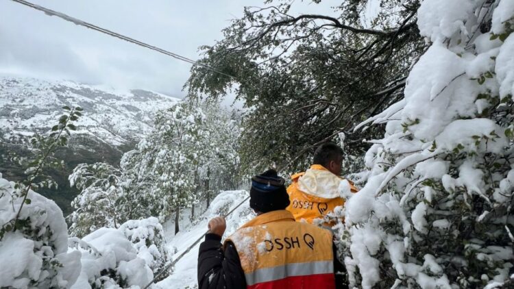 Dëbora dhe erërat e forta, 20 familje në Kukës mbeten pa drita