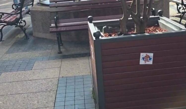 Provokohet kombëtarja, vendosin hartën e Kosovës me flamurin e Serbisë