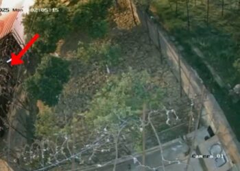 Dogji dy automjete dhe grabiti disa banesa, pranga të riut në Tiranë