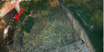 Dogji dy automjete dhe grabiti disa banesa, pranga të riut në Tiranë