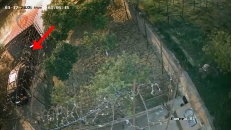 Dogji dy automjete dhe grabiti disa banesa, pranga të riut në Tiranë