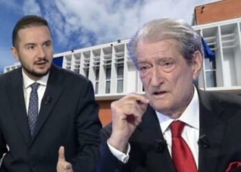 Lëvizjet e Salianjit dhe Alimehmetit, Berisha: Takimet në kafe nuk meritojnë komente