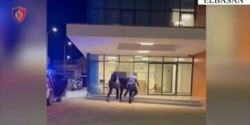 Vodhi sende me vlerë në një banesë dhe i fshehu në lokalin e tij, pranga 31-vjeçarit