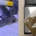 Pistoletë, municion luftarak dhe drogë në Shkodër, arrestohet 40-vjeçari