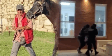 Vrasja në Berat, bashkëshortja e viktimës tregon ngjarjen: Vajza preku kalin, por…