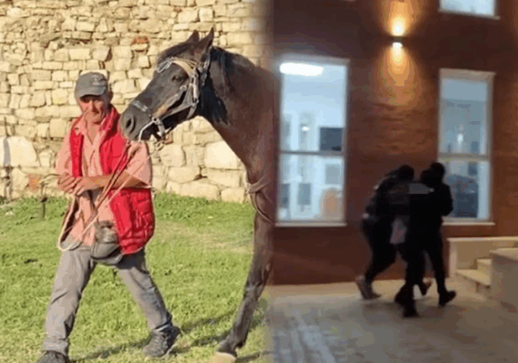 Vrasja në Berat, bashkëshortja e viktimës tregon ngjarjen: Vajza preku kalin, por…