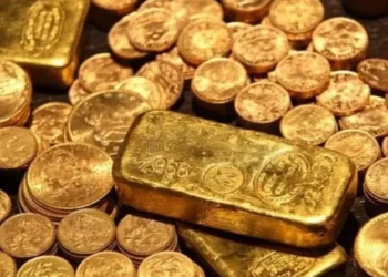 Po gërmonte për një pishinë, gjen thesarin në oborr