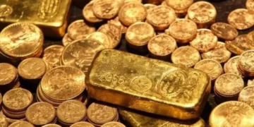 Po gërmonte për një pishinë, gjen thesarin në oborr