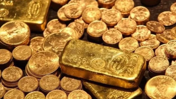 Po gërmonte për një pishinë, gjen thesarin në oborr