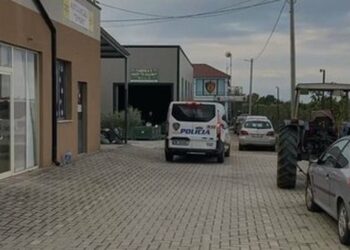 Vrasja për ekspresin në Manëz, dorëzohet në polici Daniel Pepa