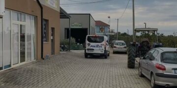 Vrasja për ekspresin në Manëz, dorëzohet në polici Daniel Pepa