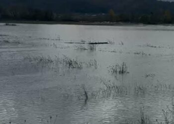 Moti i keq, zonat më problematike nga reshjet në vend