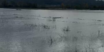 Moti i keq, zonat më problematike nga reshjet në vend